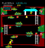 Kangaroo for Arcade - Game start.