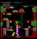 Kangaroo for Arcade - Level 3 start.