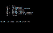 Sierra Championship Boxing for IBM PC/Compatibles - What is your new boxer's best punch?