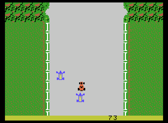 Bump 'N' Jump ColecoVision Screenshot: Game start.