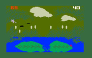 Frog Bog for Intellivision - Time is almost up...