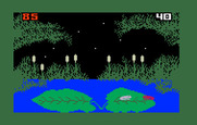 Frog Bog for Intellivision - Game over.