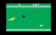 Stampede for Intellivision - The black cows are standing still so they can get past you easily.