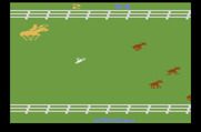 Stampede for Atari 2600 - Don't trip on the skulls in the field...