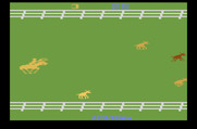 Stampede for Atari 2600 - The chase is on!