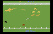 Stampede for Atari 2600 - Watch out for the black calves; they are sitting still and easily sneak by you...