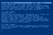 Sorcerer for Atari 8-bit - This is one way the game may end...in the darkness where grues live...