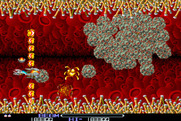 R-Type for Arcade - This end of level boss is a large blob!