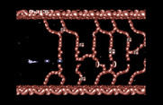 Life Force for Commodore 64 - You need to shoot your own path in this section of the game...