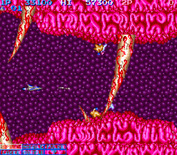 Life Force for Arcade - The path is momentarily blocked...