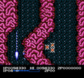 Life Force for NES / Famicom - This section moves very fast making avoiding crashing into the walls difficult.