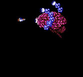 Life Force for NES / Famicom - The first end of level boss.