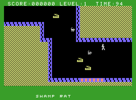 Gateway to Apshai ColecoVision Screenshot: There are some treasures here, if I can get away from the giant rats!