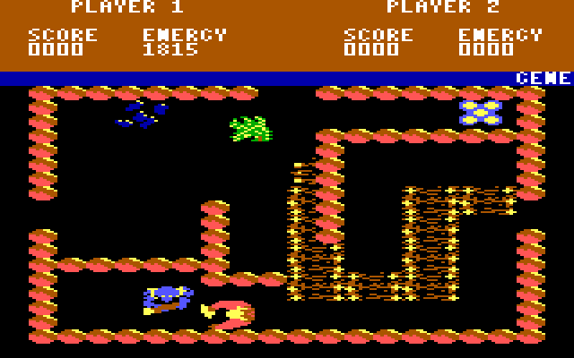 Storm IBM PC/Compatibles Screenshot: Fighting an opponent.