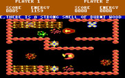 Storm for IBM PC/Compatibles - Each screen has a different layout.