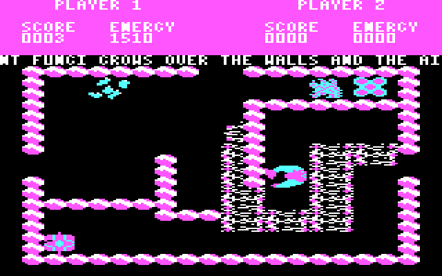 Storm IBM PC/Compatibles Screenshot: Exploring the area.