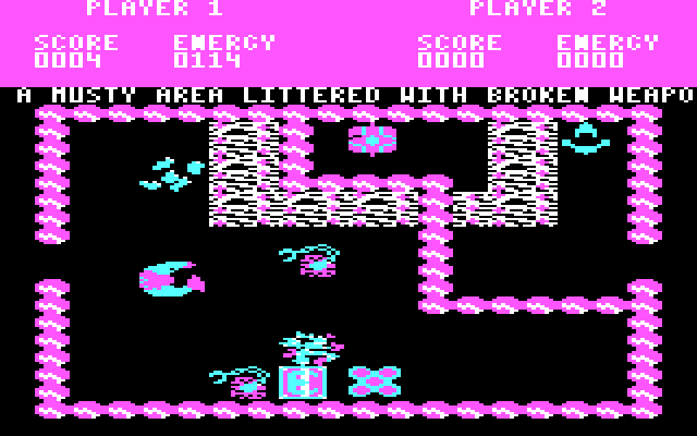 Storm IBM PC/Compatibles Screenshot: Looks like a dead end.