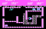 Storm for IBM PC/Compatibles - Exploring the area.