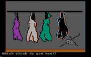 Memory Castle for IBM PC/Compatibles - Earlier you were told to get a cloak...can you remember which one?