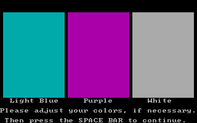 Memory Castle IBM PC/Compatibles Screenshot: Adjust your display colors as needed...