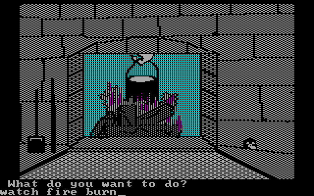 Memory Castle IBM PC/Compatibles Screenshot: What was I supposed to do when I found the fire? Oh yeah...!