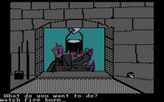 Memory Castle for IBM PC/Compatibles - What was I supposed to do when I found the fire? Oh yeah...!