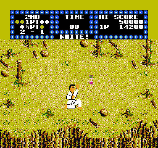 Karate Champ NES / Famicom Screenshot: Dodge or hit objects tossed at you in the bonus round.