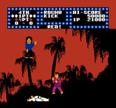 Karate Champ for NES / Famicom - White player knocked down...