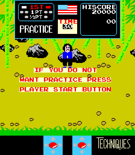 Karate Champ Arcade Screenshot: You can practice the game first...