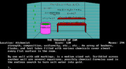 Treasury of Zan, The for IBM PC/Compatibles - Found some foobleck, whatever that may be...