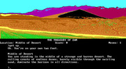 Treasury of Zan, The for IBM PC/Compatibles - The game starts with you lying face down in the sand...