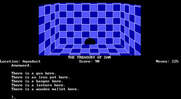 Treasury of Zan, The for IBM PC/Compatibles - Found my stuff down here...