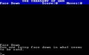 Treasury of Zan, The for IBM PC/Compatibles - The game starts with you lying face down in the sand.