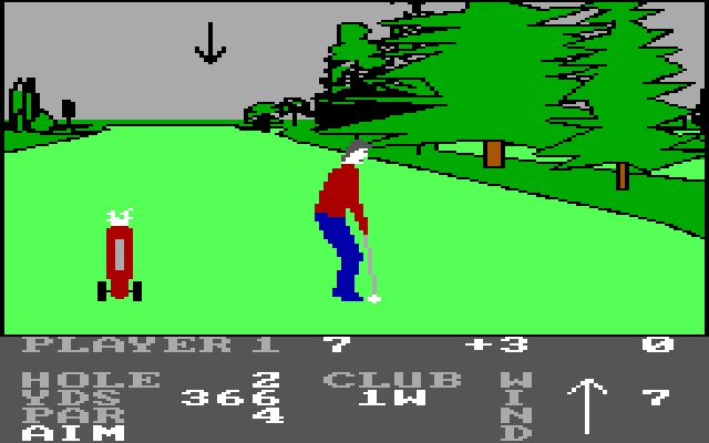 Pro Golf IBM PC/Compatibles Screenshot: The arrow lets you select where to aim...