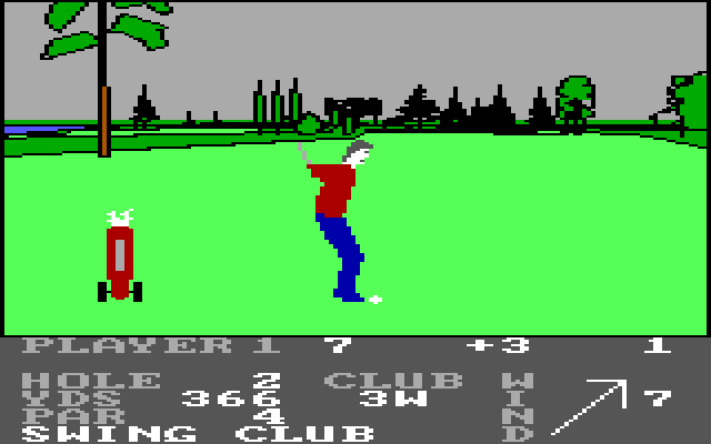 Pro Golf IBM PC/Compatibles Screenshot: Swinging...