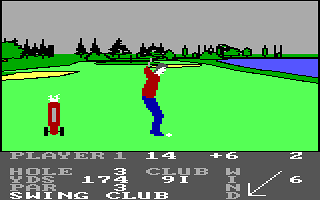 Pro Golf IBM PC/Compatibles Screenshot: Almost to the green...