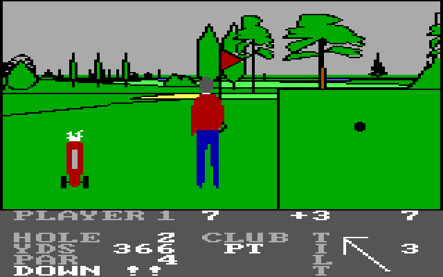Pro Golf IBM PC/Compatibles Screenshot: It's in the hole!