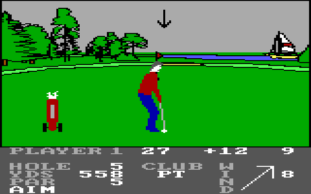 Pro Golf IBM PC/Compatibles Screenshot: This is a long putt...