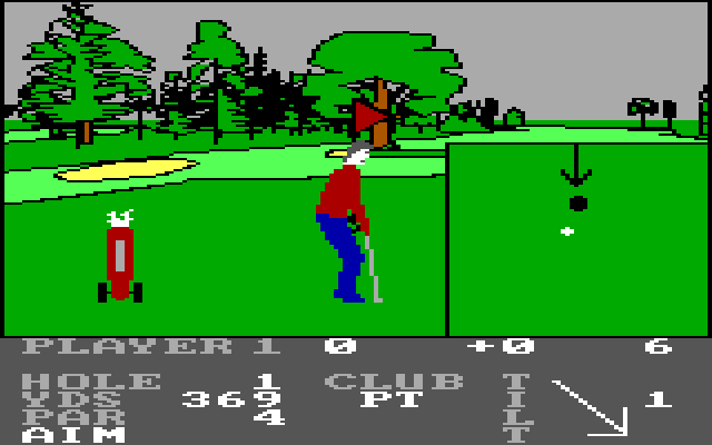 Pro Golf IBM PC/Compatibles Screenshot: Putting; when you're close to the hole a closeup view appears.