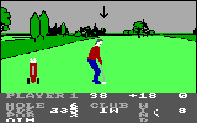 Pro Golf IBM PC/Compatibles Screenshot: In the fairway on hole 6...