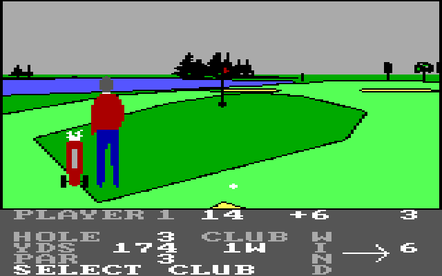 Pro Golf IBM PC/Compatibles Screenshot: Just a short chip to the green.