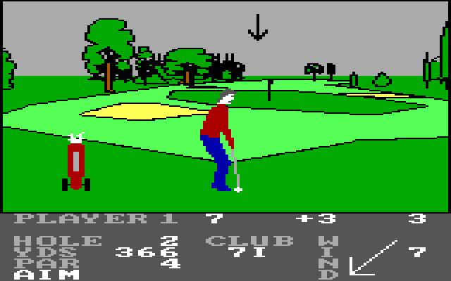 Pro Golf IBM PC/Compatibles Screenshot: Near the green.
