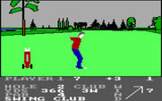Pro Golf for IBM PC/Compatibles - Swinging...