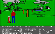 Pro Golf for IBM PC/Compatibles - Lost in the woods again...