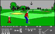 Pro Golf for IBM PC/Compatibles - Near the green.