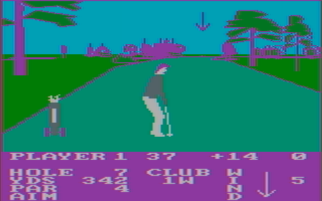 Pro Golf IBM PC/Compatibles Screenshot: The arrow indicates where you are currently aiming.