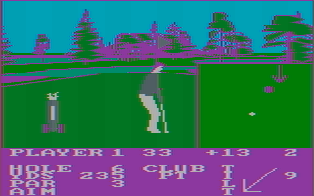 Pro Golf IBM PC/Compatibles Screenshot: Putting on hole 6.