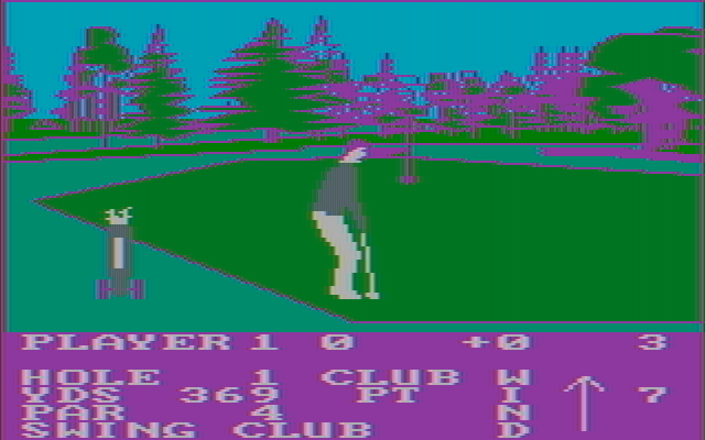 Pro Golf IBM PC/Compatibles Screenshot: Putting on the first green...