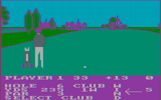 Pro Golf IBM PC/Compatibles Screenshot: Hole 6, in the fairway...