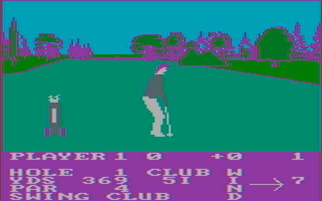 Pro Golf IBM PC/Compatibles Screenshot: In the fairway...